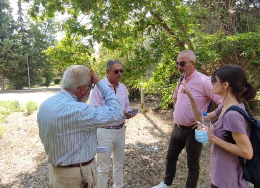 358729015 598044052514317 8226592897377956031 n