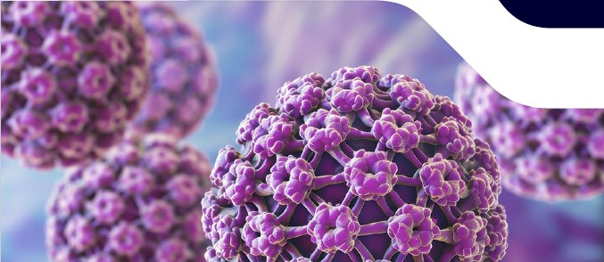 HPV Screening Implementation