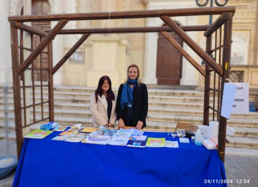 IMG 20241124 125454 s