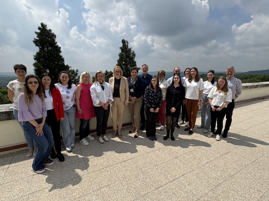 Integrating Excellence A Methodological Hub for Lung Cancer Solutions