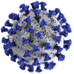 covid 19 virus illustration small